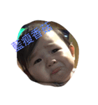 Venus daily（個別スタンプ：6）