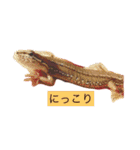 カナヘビ3兄弟（個別スタンプ：4）