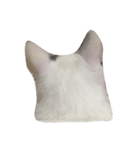 charmingkitty（個別スタンプ：3）
