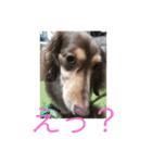 kawaii... momo-chan（個別スタンプ：7）