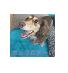 kawaii... momo-chan（個別スタンプ：8）