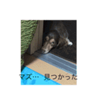 kawaii... momo-chan（個別スタンプ：12）