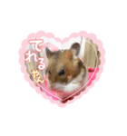 ももちゃん☆バレンタイン・バージョン（個別スタンプ：1）