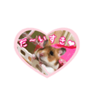 ももちゃん☆バレンタイン・バージョン（個別スタンプ：2）