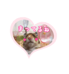 ももちゃん☆バレンタイン・バージョン（個別スタンプ：3）