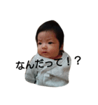HALMEI（個別スタンプ：6）