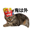 ももcat1（個別スタンプ：4）