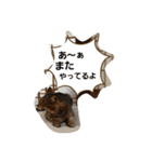 ももcat1（個別スタンプ：11）
