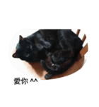 cute black cat lovely lucky（個別スタンプ：8）