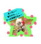 putupwith（個別スタンプ：3）