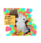 putupwith（個別スタンプ：6）
