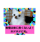 putupwith（個別スタンプ：8）