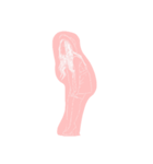 H O P E（個別スタンプ：14）