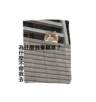 Sarahimi Garden（個別スタンプ：9）