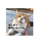 となりの茶豆（個別スタンプ：6）