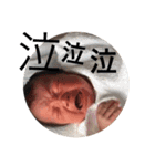 ゼン君のスタンプ（個別スタンプ：5）