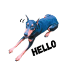 Dog Leon！（個別スタンプ：1）