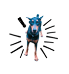 Dog Leon！（個別スタンプ：7）