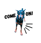 Dog Leon！（個別スタンプ：9）
