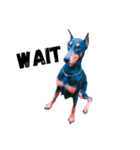 Dog Leon！（個別スタンプ：10）