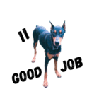 Dog Leon！（個別スタンプ：11）