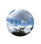 お花好きの人の為のスタンプ（個別スタンプ：1）