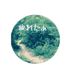 お花好きの人の為のスタンプ（個別スタンプ：3）