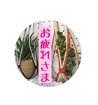 お花好きの人の為のスタンプ（個別スタンプ：4）