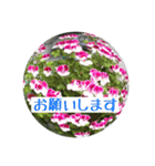 お花好きの人の為のスタンプ（個別スタンプ：6）