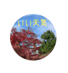 お花好きの人の為のスタンプ（個別スタンプ：17）