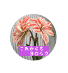 お花好きの人の為のスタンプ（個別スタンプ：22）