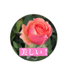 お花好きの人の為のスタンプ（個別スタンプ：26）