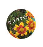 お花好きの人の為のスタンプ（個別スタンプ：27）