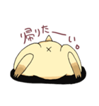わがやのプレーリードッグ（個別スタンプ：7）