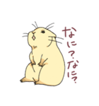 わがやのプレーリードッグ（個別スタンプ：19）