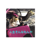 優愛斗（個別スタンプ：1）