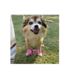 優愛斗（個別スタンプ：2）