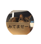 happy cats 8（個別スタンプ：8）