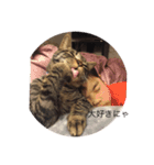 happy cats 8（個別スタンプ：10）