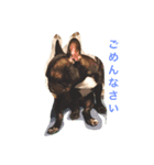 稲垣ムタ（個別スタンプ：1）