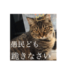 かぎしっぽのひなたくん（個別スタンプ：5）