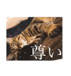 かぎしっぽのひなたくん（個別スタンプ：21）