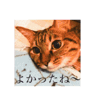 かぎしっぽのひなたくん（個別スタンプ：25）