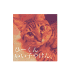 かぎしっぽのひなたくん（個別スタンプ：38）