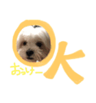 ふくくんです。（個別スタンプ：1）