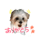 ふくくんです。（個別スタンプ：4）