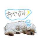 ふくくんです。（個別スタンプ：5）