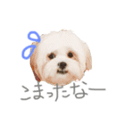 ふくくんです。（個別スタンプ：7）