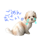ふくくんです。（個別スタンプ：8）