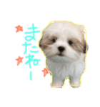 ふくくんです。（個別スタンプ：9）